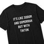 IT'S LIKE SODOM AND GOMORRAH BUT WITH TIKTOK nihilist blackpill statement t-shirt | BASED ALT-WEAR