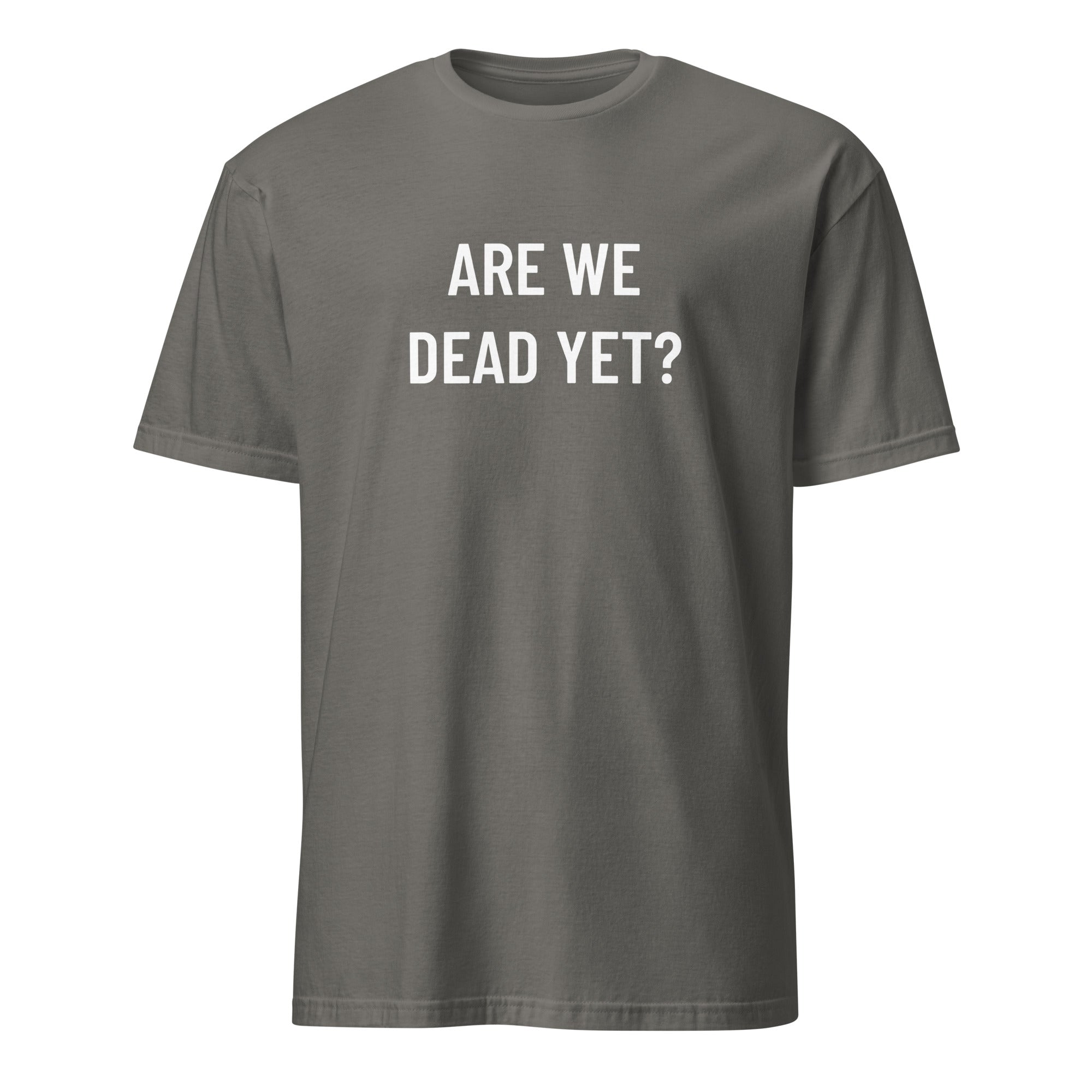ARE WE DEAD YET? nihilist blackpill statement t-shirt in Grey | BASED ALT-WEAR