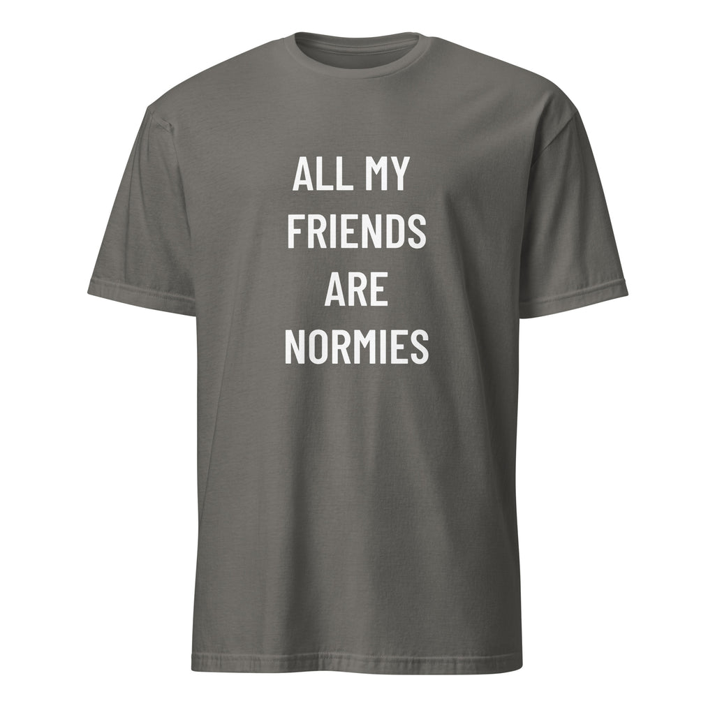 ALL MY FRIENDS ARE NORMIES redpill statement t-shirt in Grey | BASED ALT-WEAR