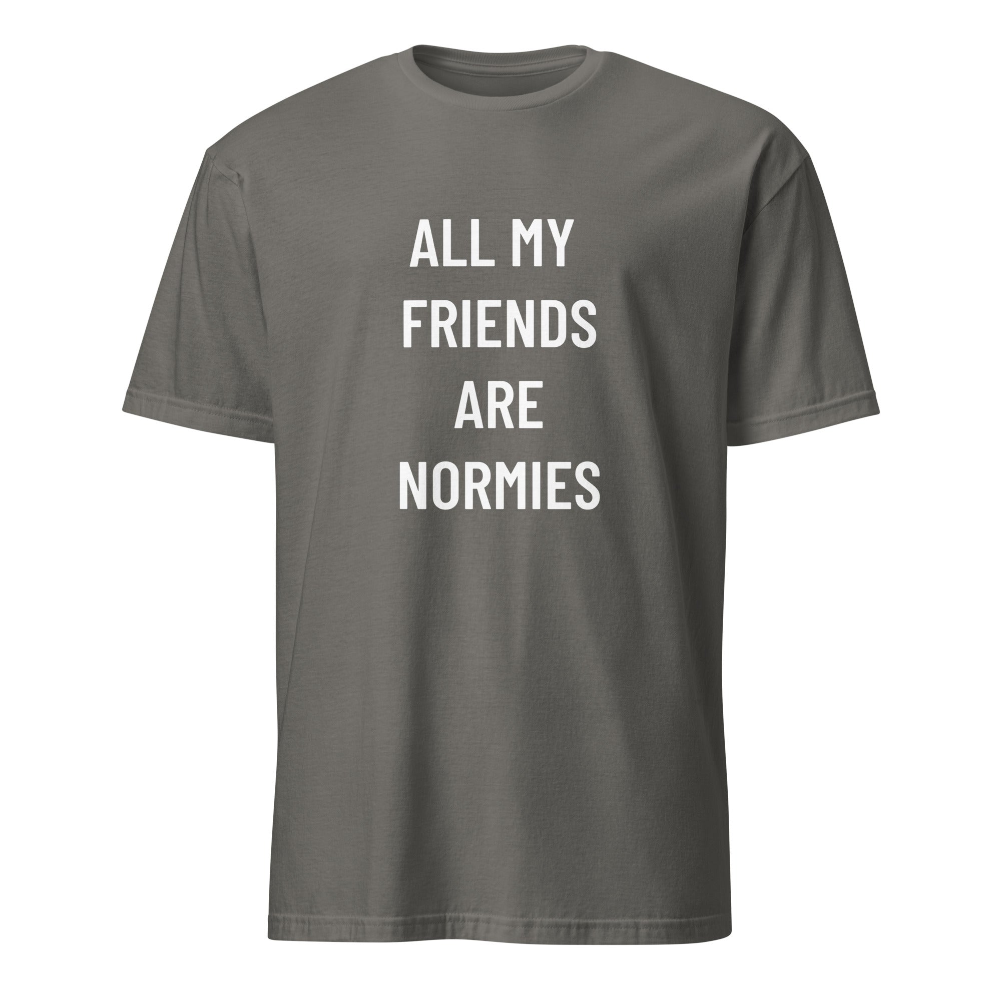 ALL MY FRIENDS ARE NORMIES redpill statement t-shirt in Grey | BASED ALT-WEAR