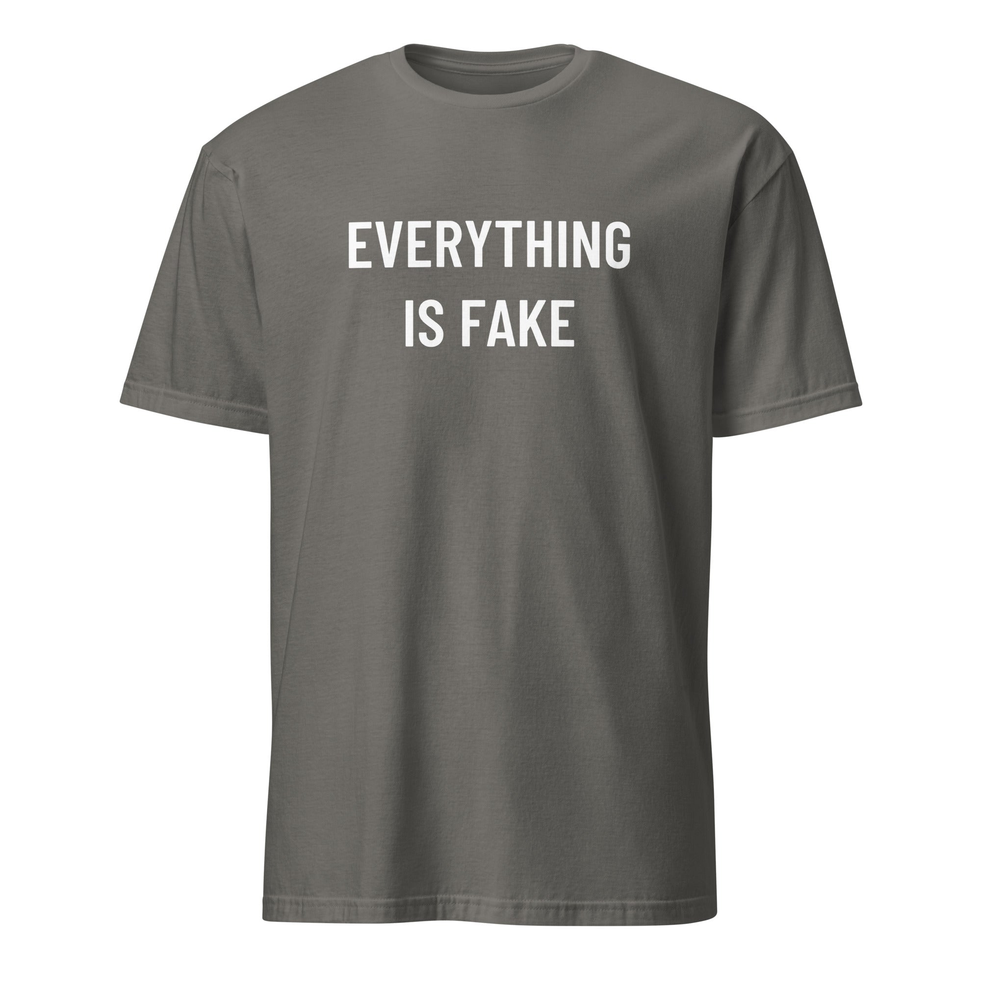 EVERYTHING IS FAKE hyperreality blackpill statement t-shirt in Grey | BASED ALT-WEAR