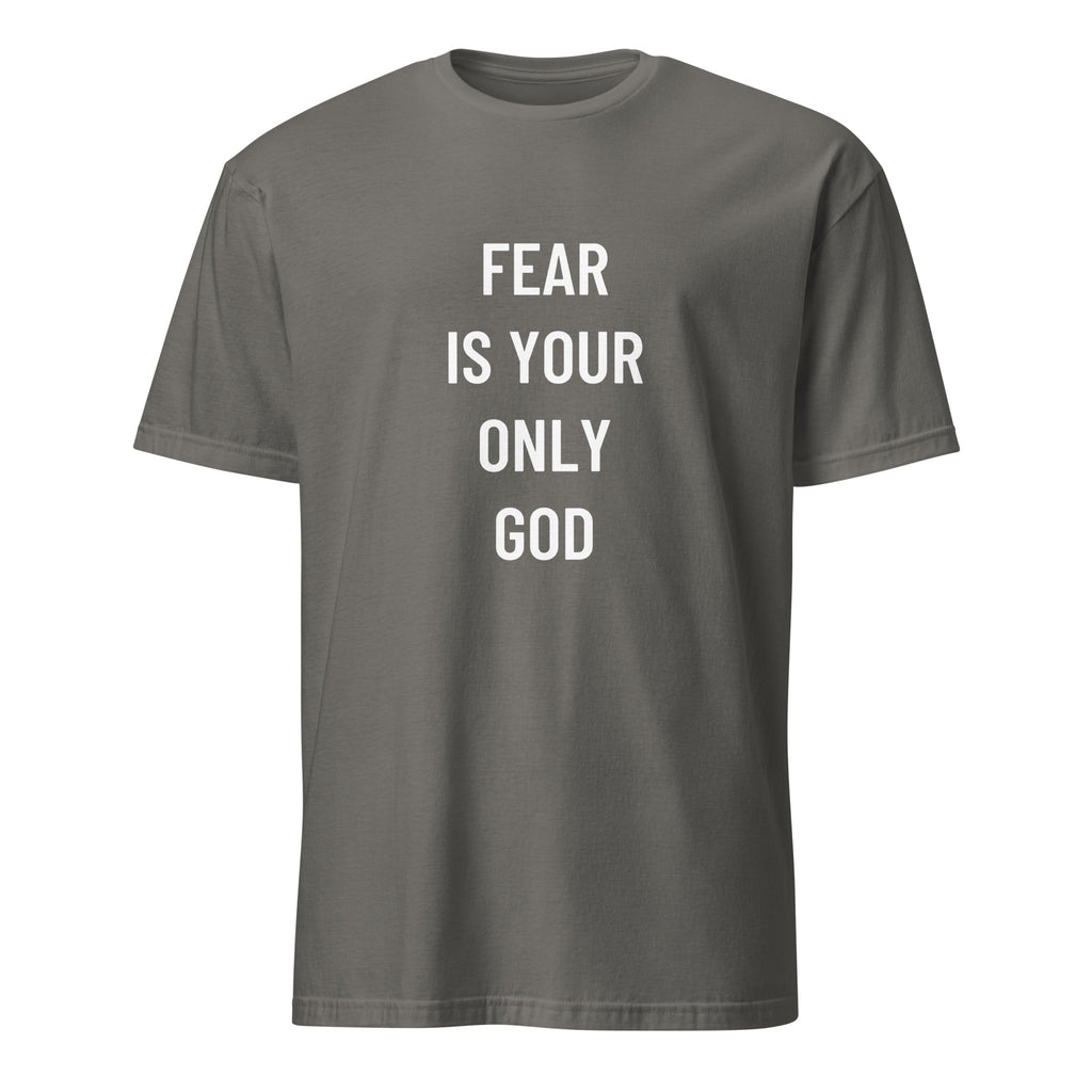 FEAR IS YOUR ONLY GOD anti-authoritarian blackpill statement t-shirt in Grey | BASED ALT-WEAR