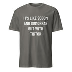 IT'S LIKE SODOM AND GOMORRAH BUT WITH TIKTOK blackpill statement t-shirt in Grey | BASED ALT-WEAR