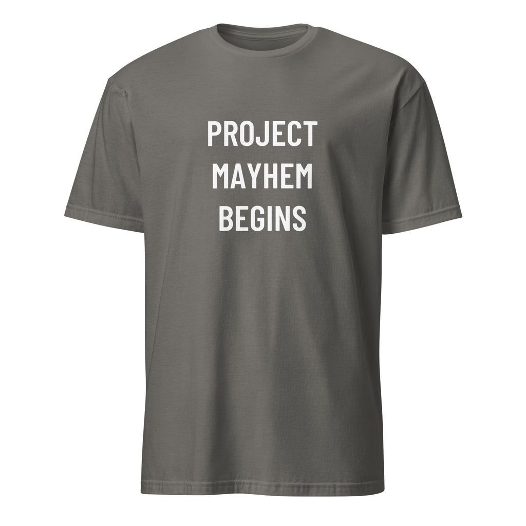 PROJECT MAYHEM BEGINS Fight Club statement t-shirt in Grey | BASED ALT-WEAR