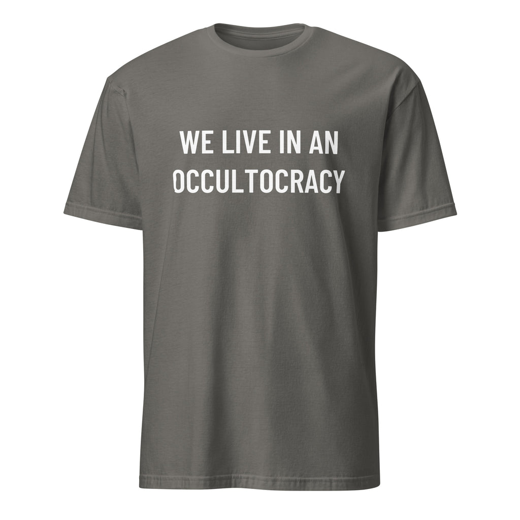 WE LIVE IN AN OCCULTOCRACY esoteric-skeptic statement t-shirt in Grey | BASED ALT-WEAR