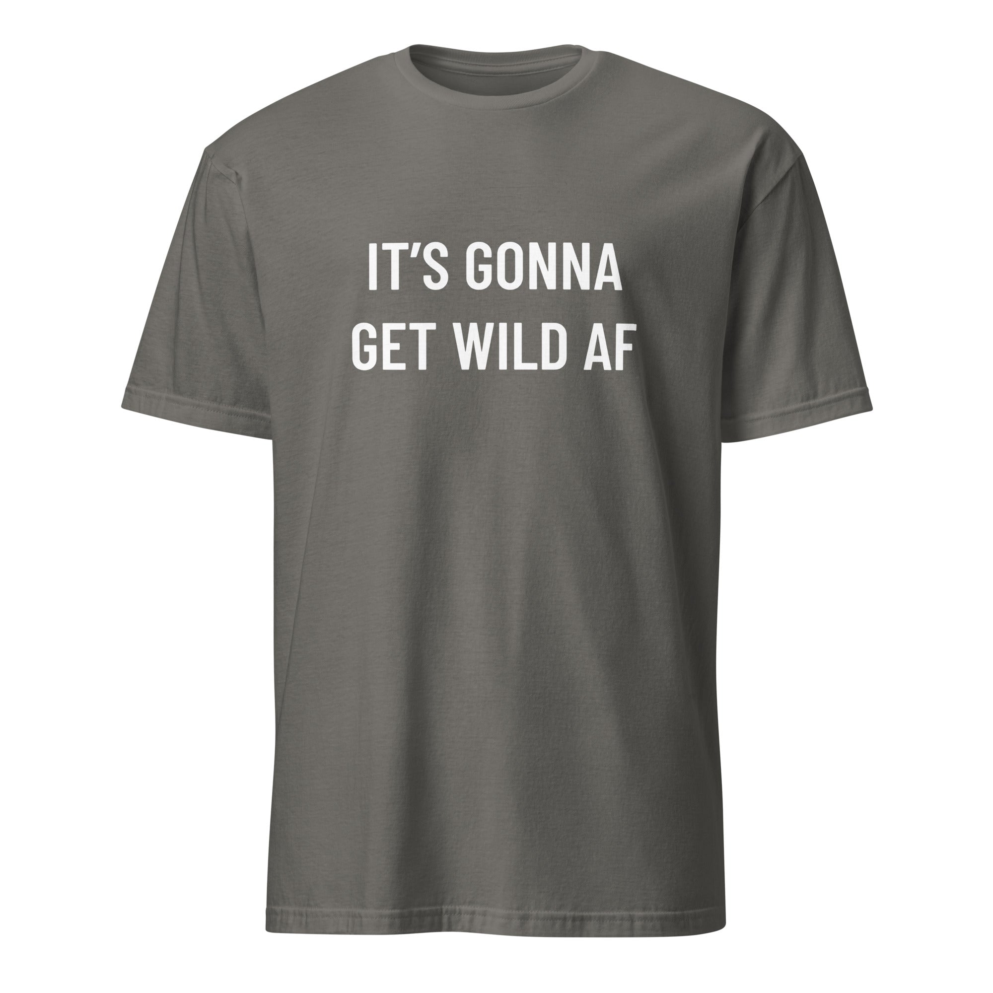 IT'S GONNA GET WILD AF anti-establishment statement t-shirt in Grey | BASED ALT-WEAR