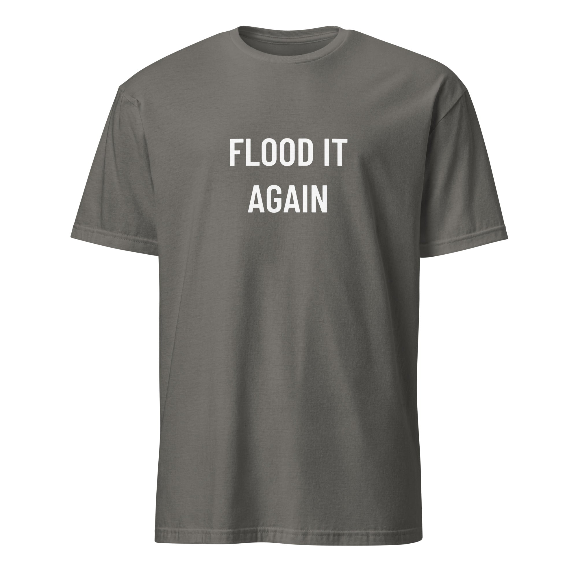 FLOOD IT AGAIN biblical dark-humor statement t-shirt in Grey | BASED ALT-WEAR
