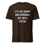 IT'S LIKE SODOM AND GOMORRAH BUT WITH TIKTOK blackpill statement t-shirt in Pink | BASED ALT-WEAR