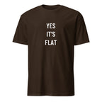 YES IT'S FLAT flat-earth satire statement t-shirt in Pink | BASED ALT-WEAR