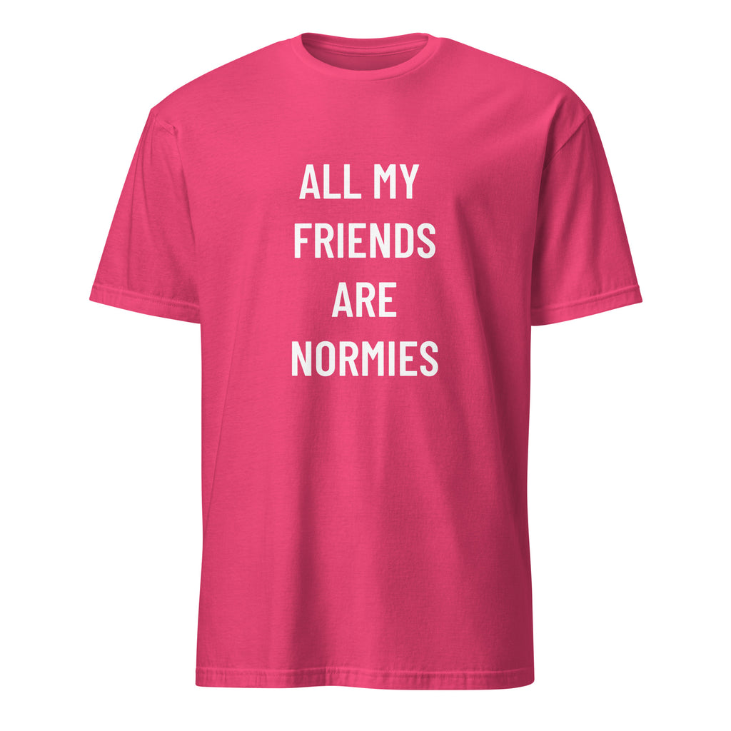 ALL MY FRIENDS ARE NORMIES redpill statement t-shirt in Pink | BASED ALT-WEAR