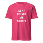 ALL MY FRIENDS ARE NORMIES redpill statement t-shirt in Pink | BASED ALT-WEAR