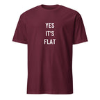 YES IT'S FLAT flat-earth satire statement t-shirt in Brown | BASED ALT-WEAR